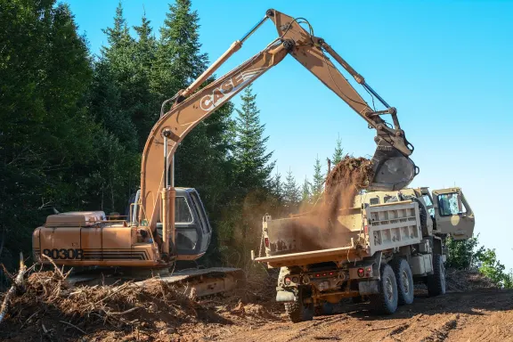 ビンゴ カフェ カジノ サポート